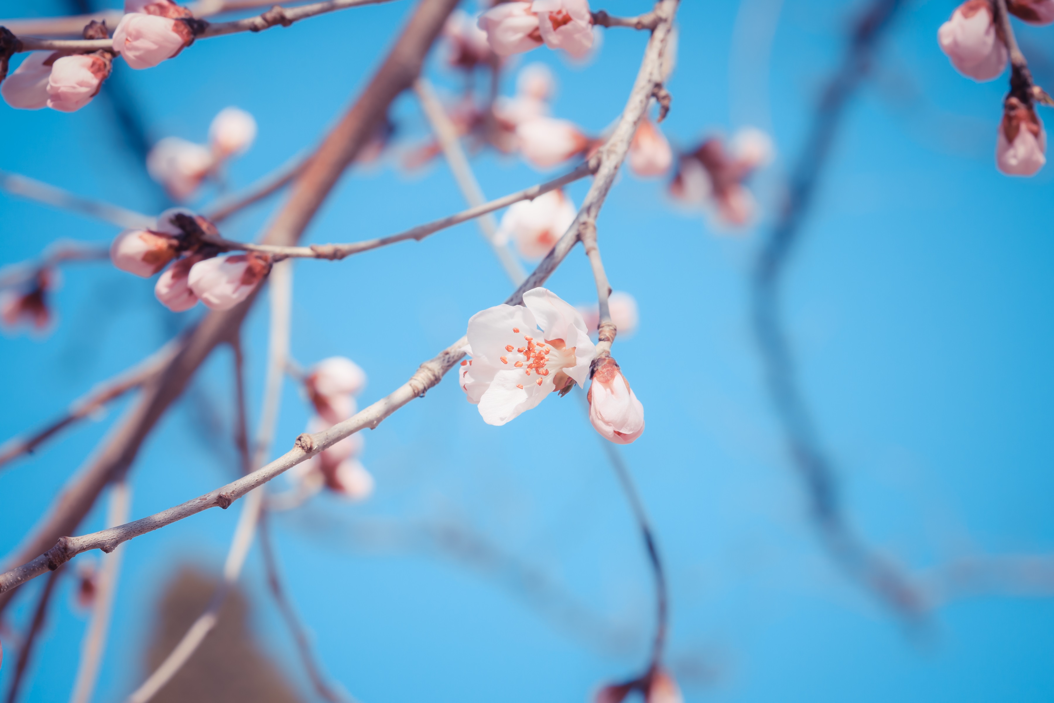 J9集团·(中国)首页